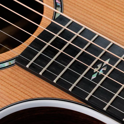 700 Series アコースティックギター | Taylor Guitars